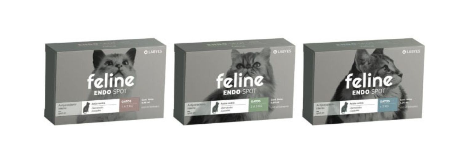 2-feline