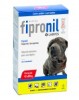 Thumbnail Fipronil Perros0
