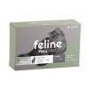 Thumbnail Feline Fullspot0